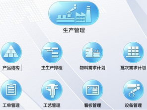 軟件開(kāi)發(fā)中六西格瑪管理咨詢過(guò)程頭腦風(fēng)暴法的實(shí)施
